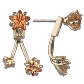 Fantasia's Goldtone and Champagne Star Stud Front Back Earrings