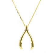 Jennifer's Wishbone Pendant - Goldtone